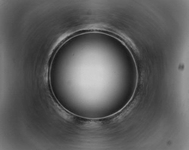 X0000098111224200804041336