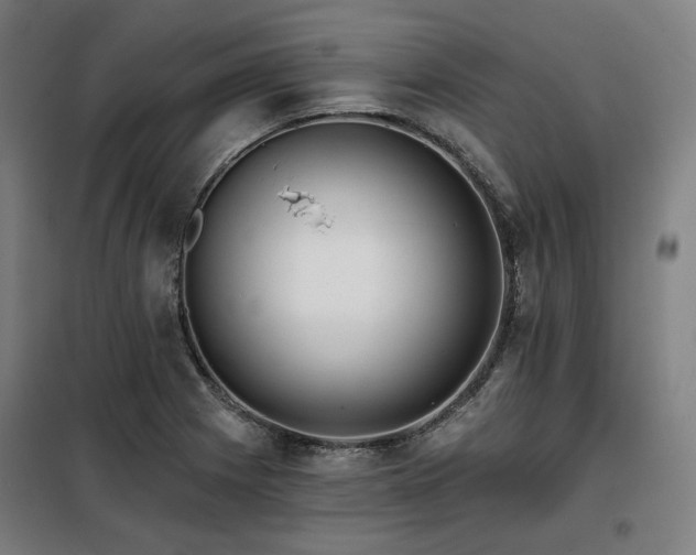 X0000098111225200804041336