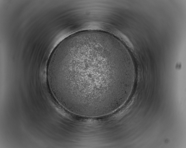 X0000098111226200804041336