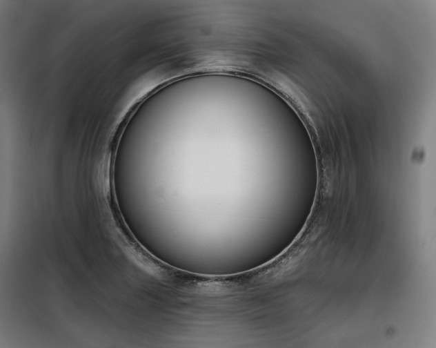 X0000098111227200804041336