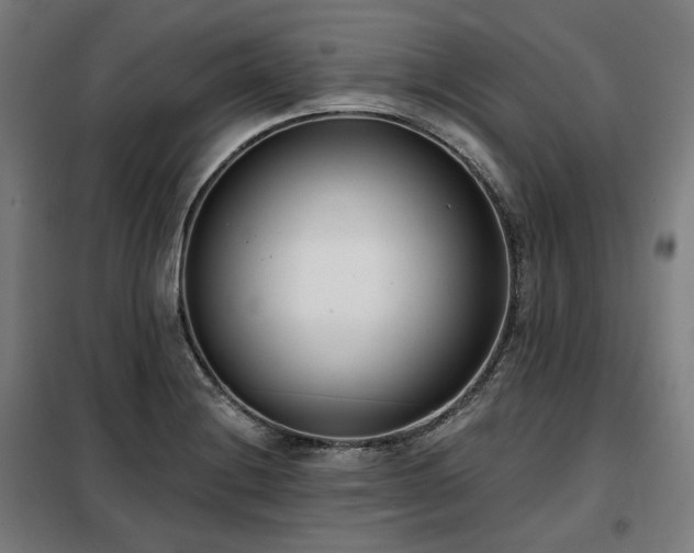 X0000098111228200804041336