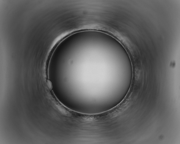 X0000098111230200804041336