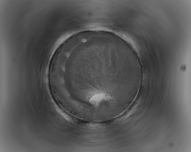 X0000098111231200804041336