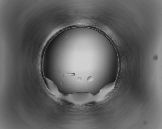 X0000098111232200804041336