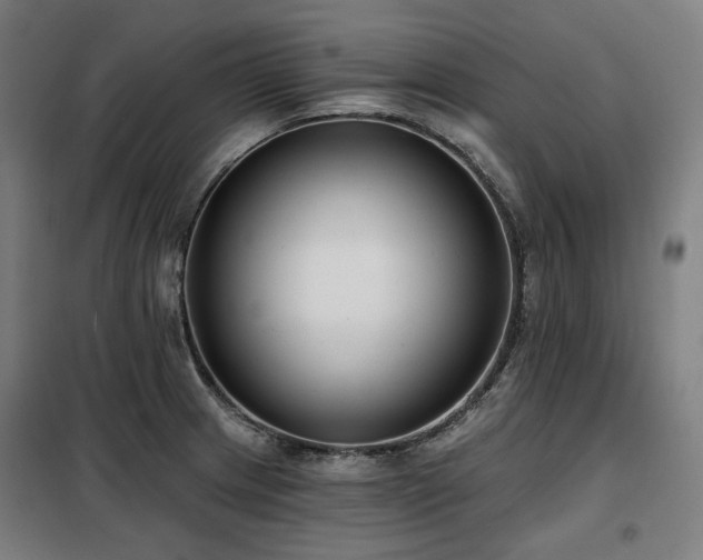 X0000098111233200804041336