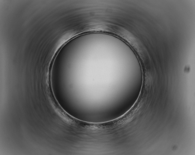 X0000098111234200804041336