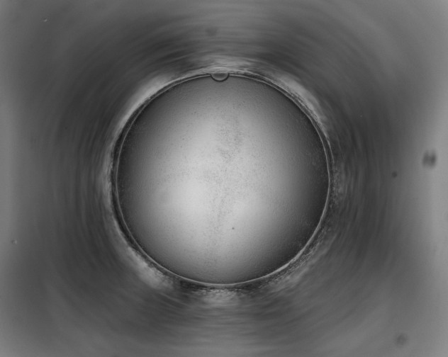 X0000098111235200804041336