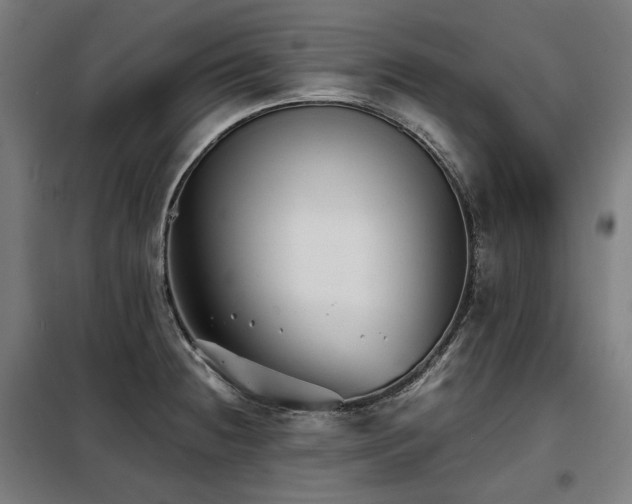 X0000098111236200804041336