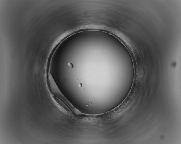 X0000098111237200804041336