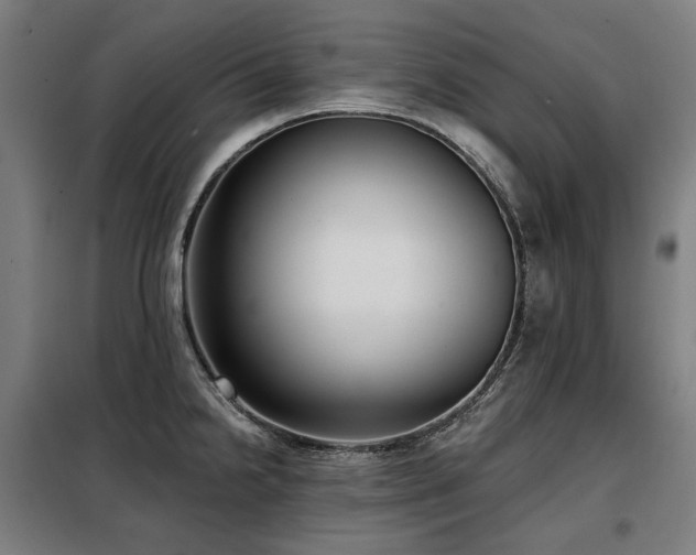 X0000098111238200804041336