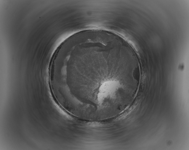 X0000098111239200804041336
