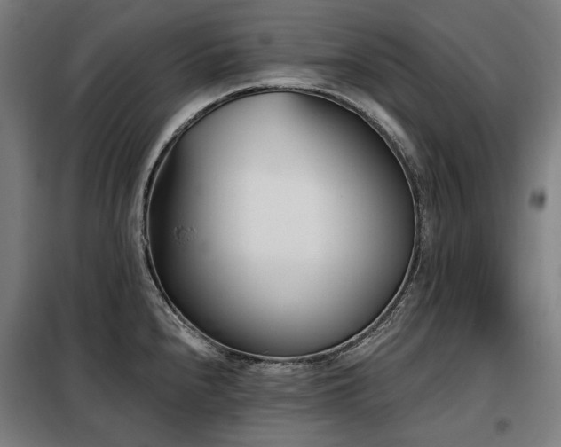 X0000098111240200804041336