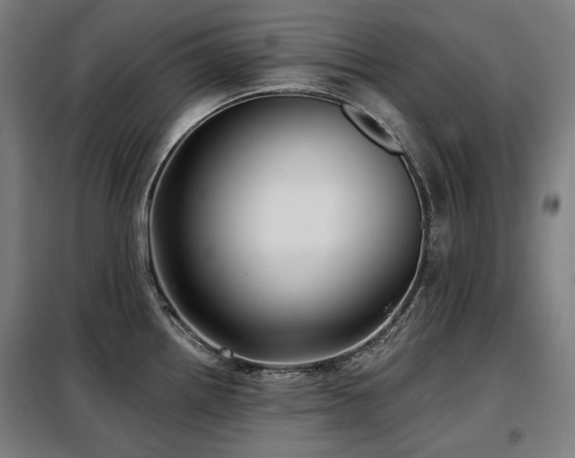 X0000098111242200804041336