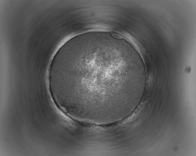 X0000098111243200804041336