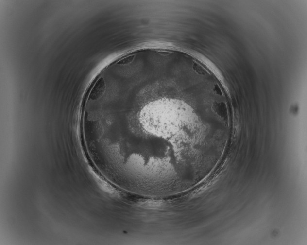 X0000098111245200804041336
