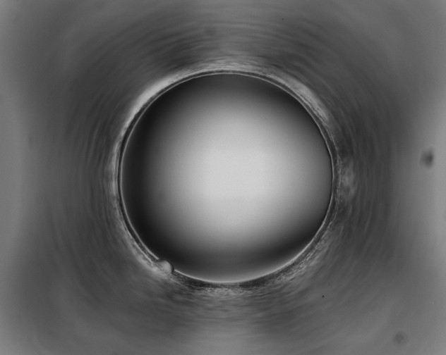 X0000098111246200804041336