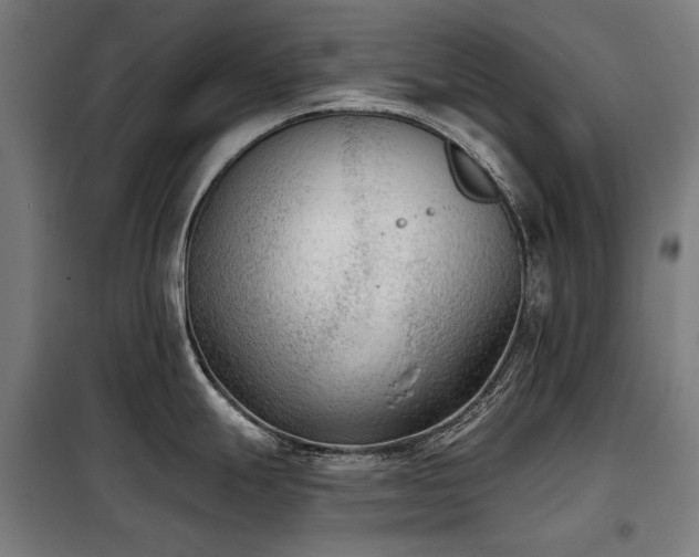 X0000098111247200804041336