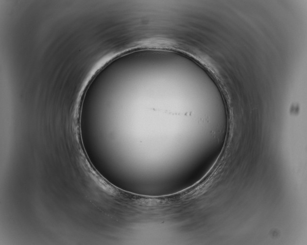 X0000098111248200804041336