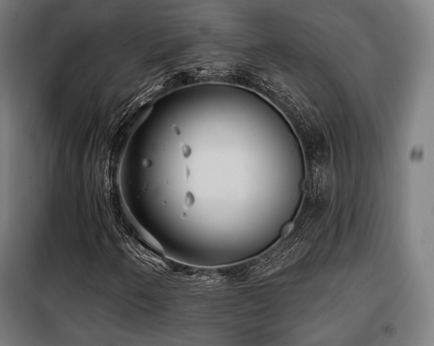 X0000098111250200804041335