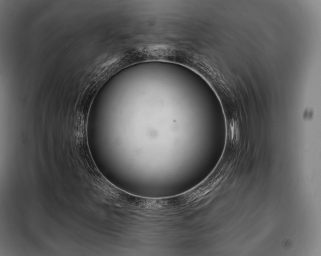 X0000098111251200804041335