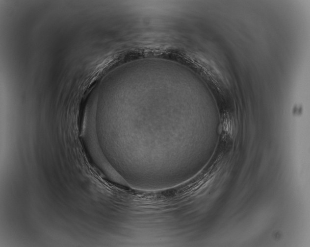 X0000098111252200804041335