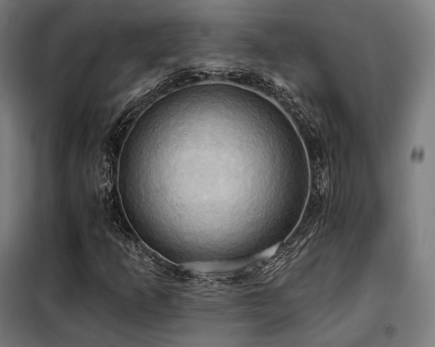 X0000098111253200804041335