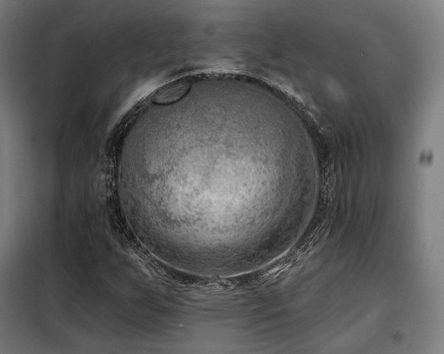 X0000098111255200804041335