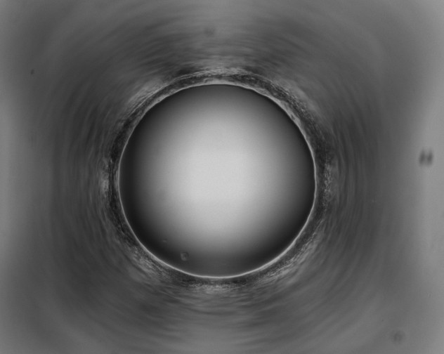 X0000098111257200804041335