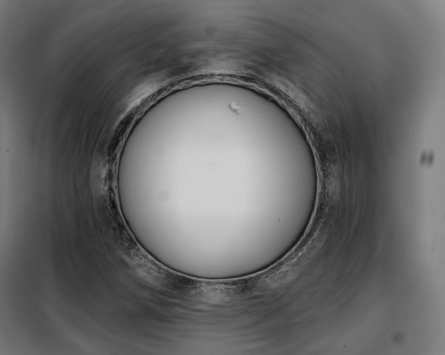 X0000098111258200804041335