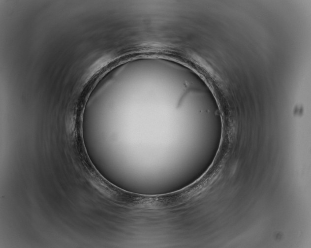 X0000098111259200804041335