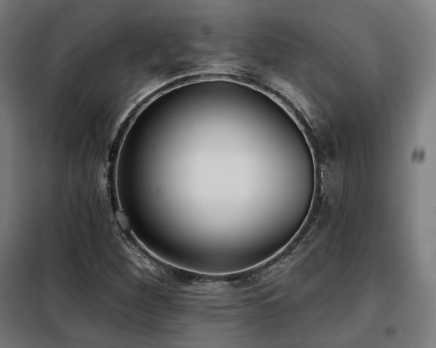 X0000098111260200804041335