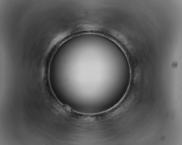 X0000098111261200804041335