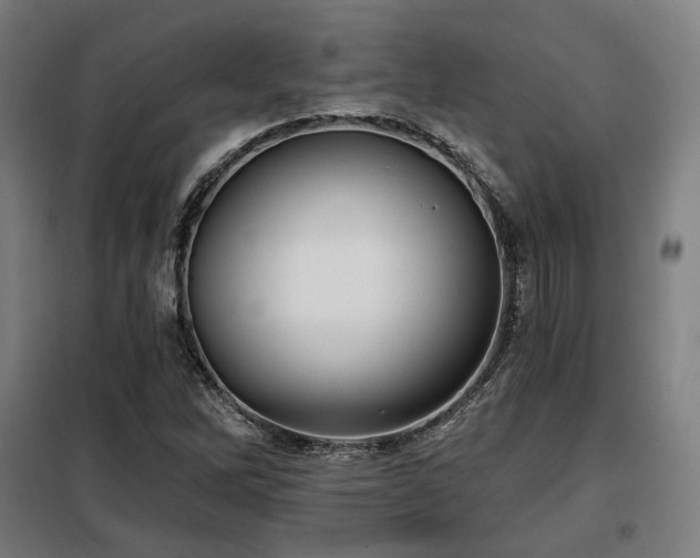 X0000098111262200804041335