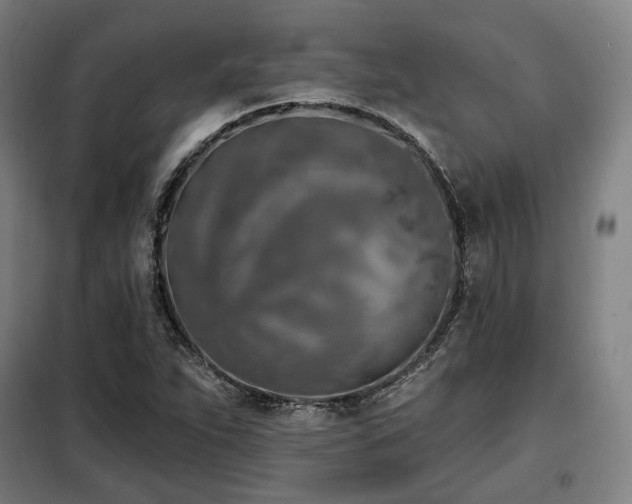 X0000098111263200804041335