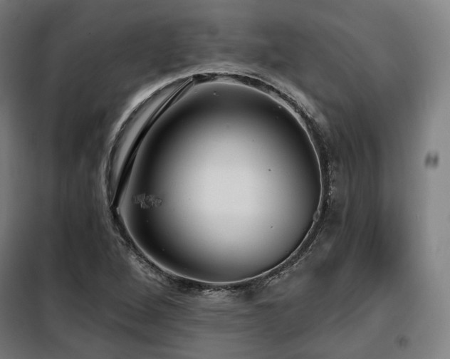 X0000098111264200804041335