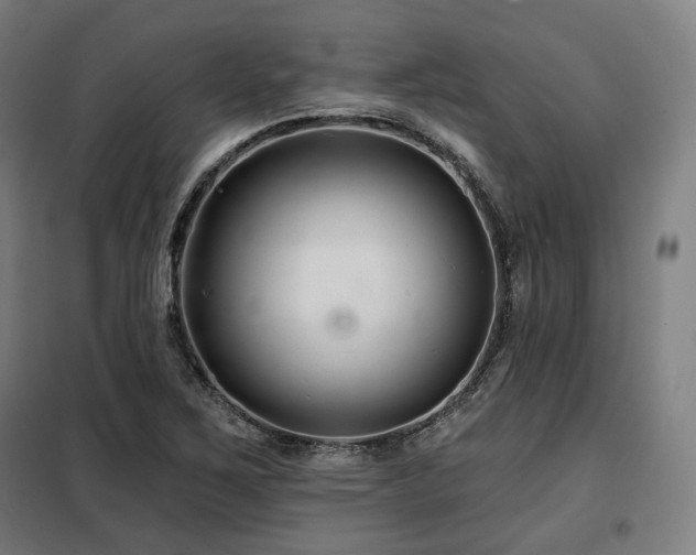 X0000098111267200804041335