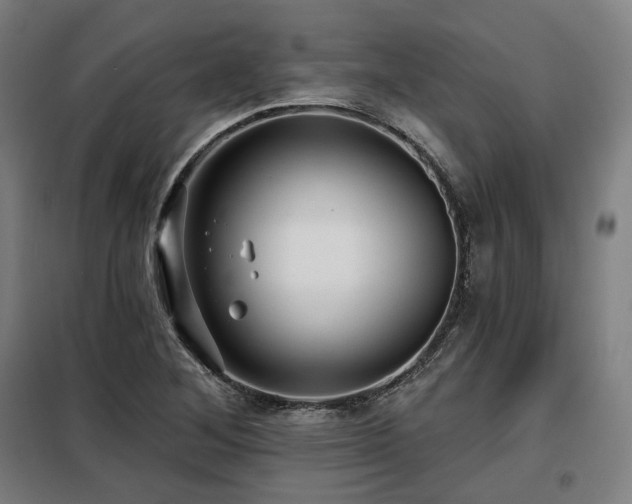 X0000098111268200804041335