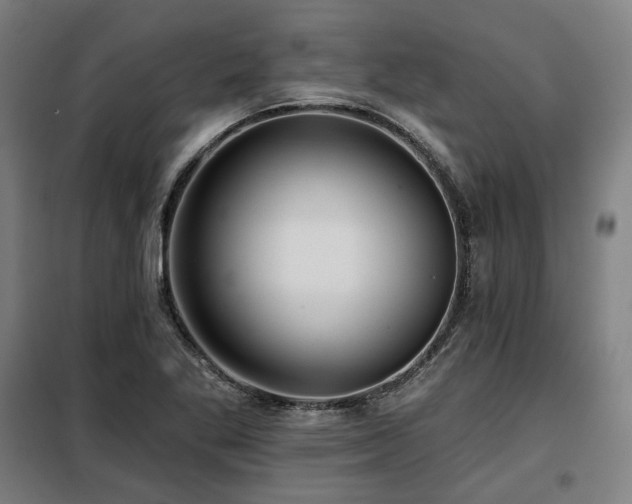 X0000098111269200804041335