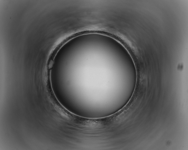 X0000098111270200804041335