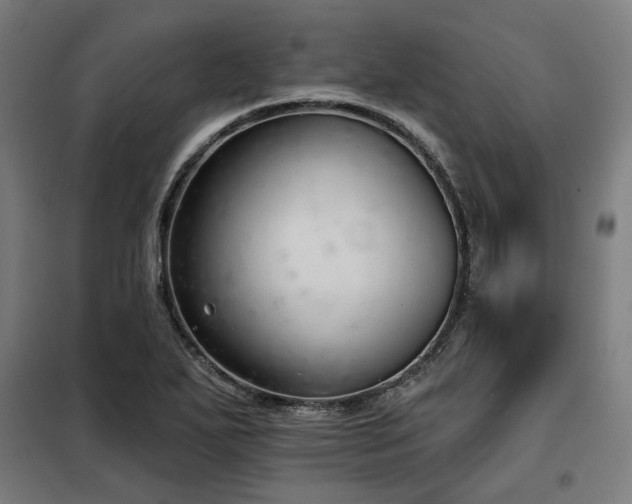 X0000098111271200804041335