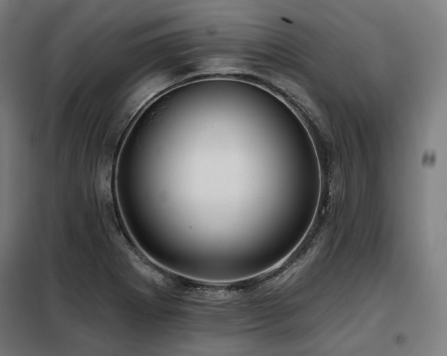 X0000098111273200804041335