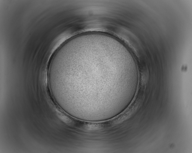 X0000098111274200804041335