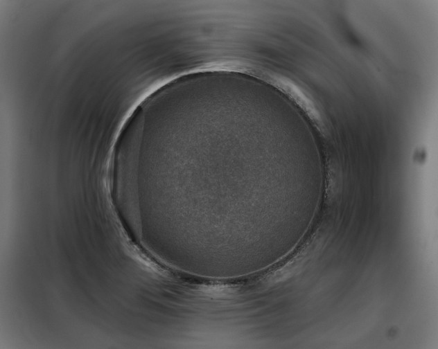X0000098111276200804041335