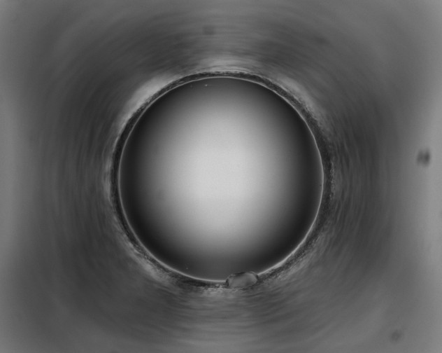 X0000098111277200804041335