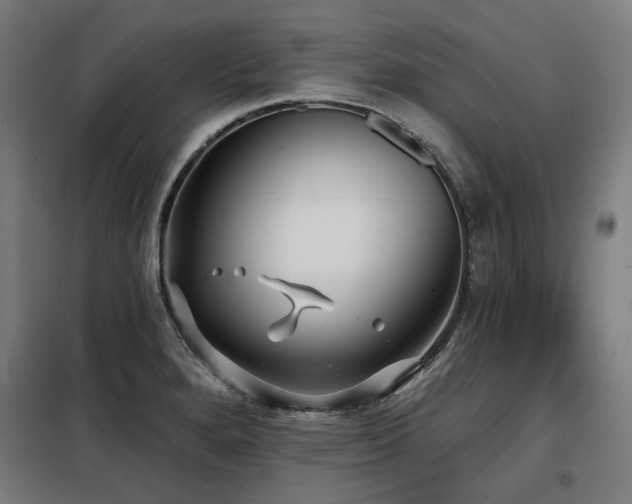 X0000098111280200804041335