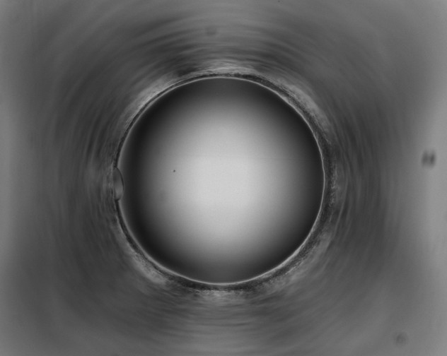 X0000098111281200804041335