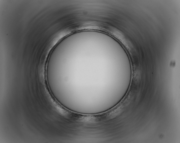 X0000098111282200804041335