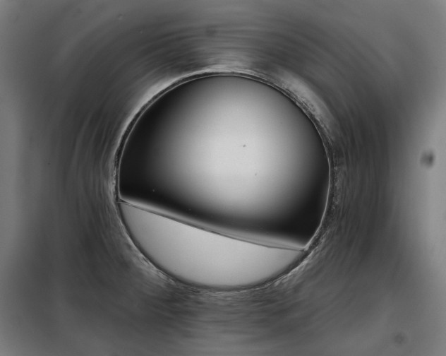 X0000098111284200804041335