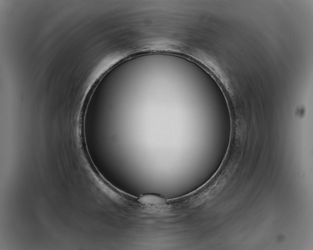 X0000098111285200804041335