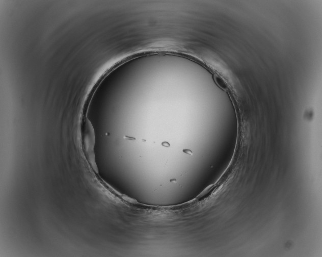 X0000098111288200804041335